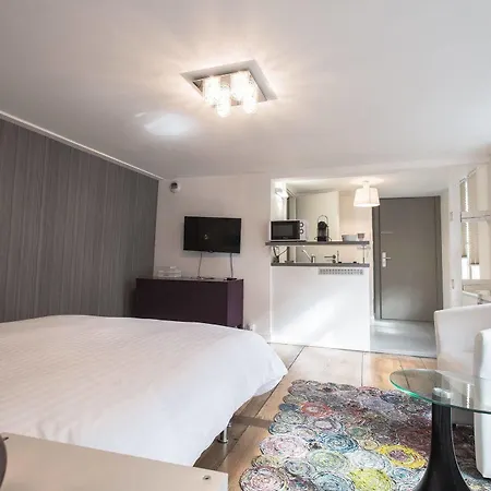 Orfevres Cathedrale Apartment Strasbourg