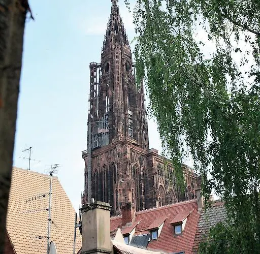 Апартаменты Orfevres Cathedrale